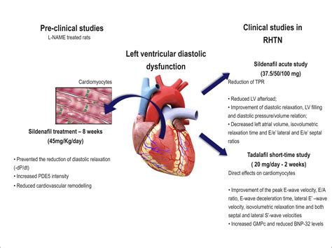 decreased left ventricular systolic function.